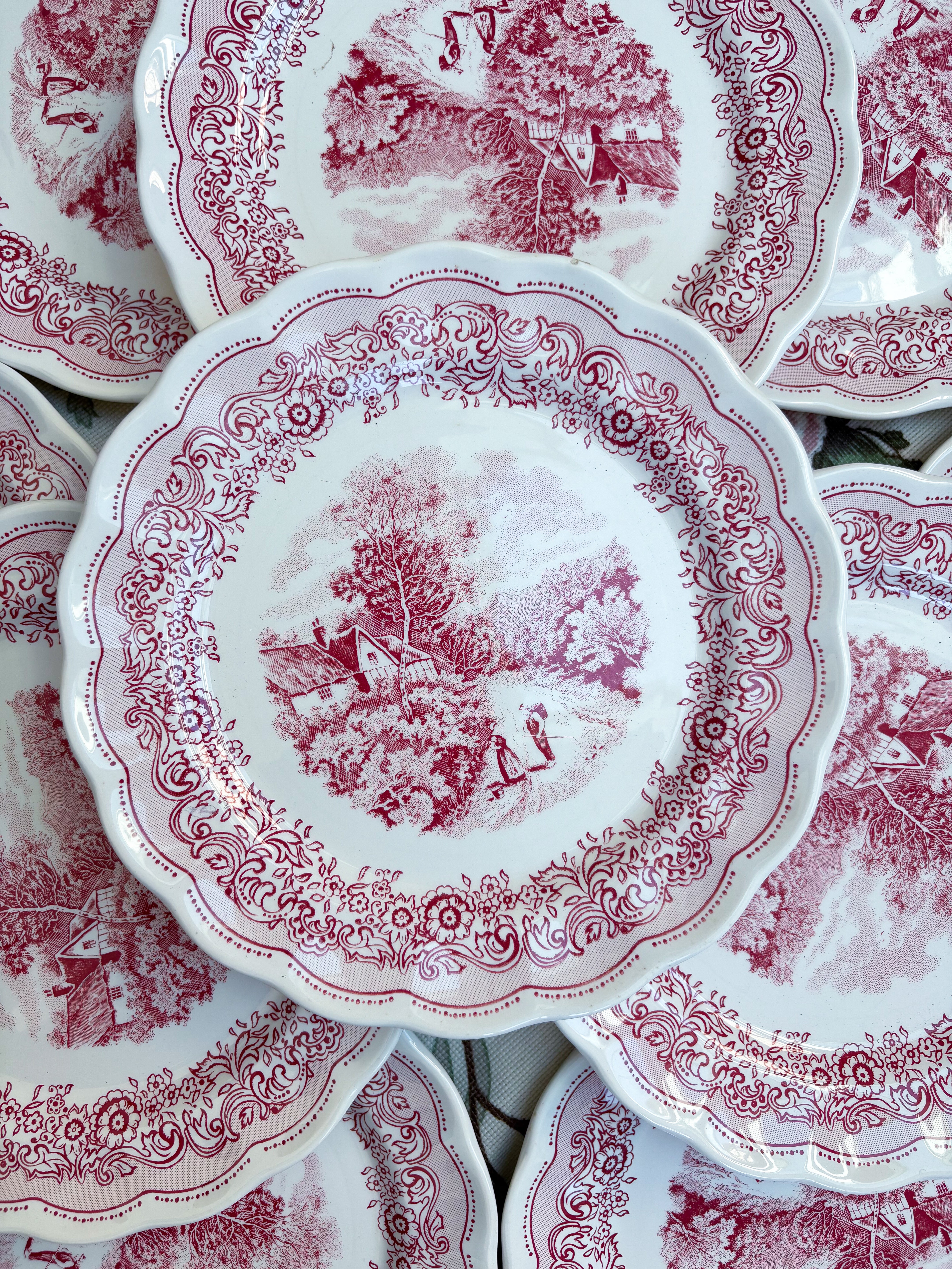 Service Italien paysage rose