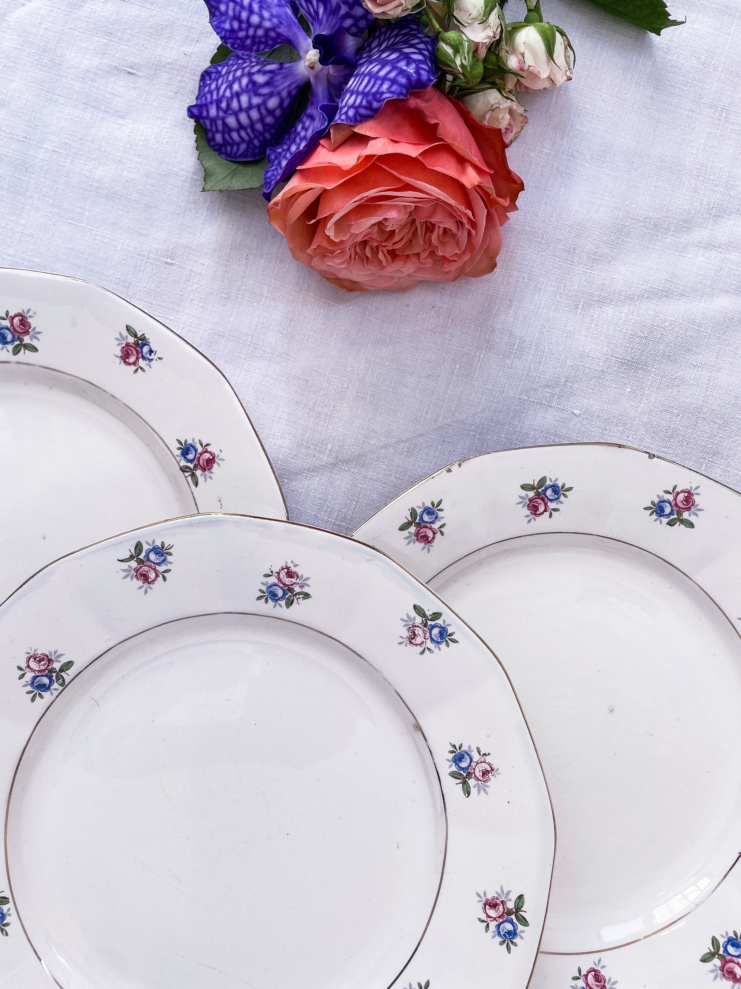 Service Digoin Sarreguemines