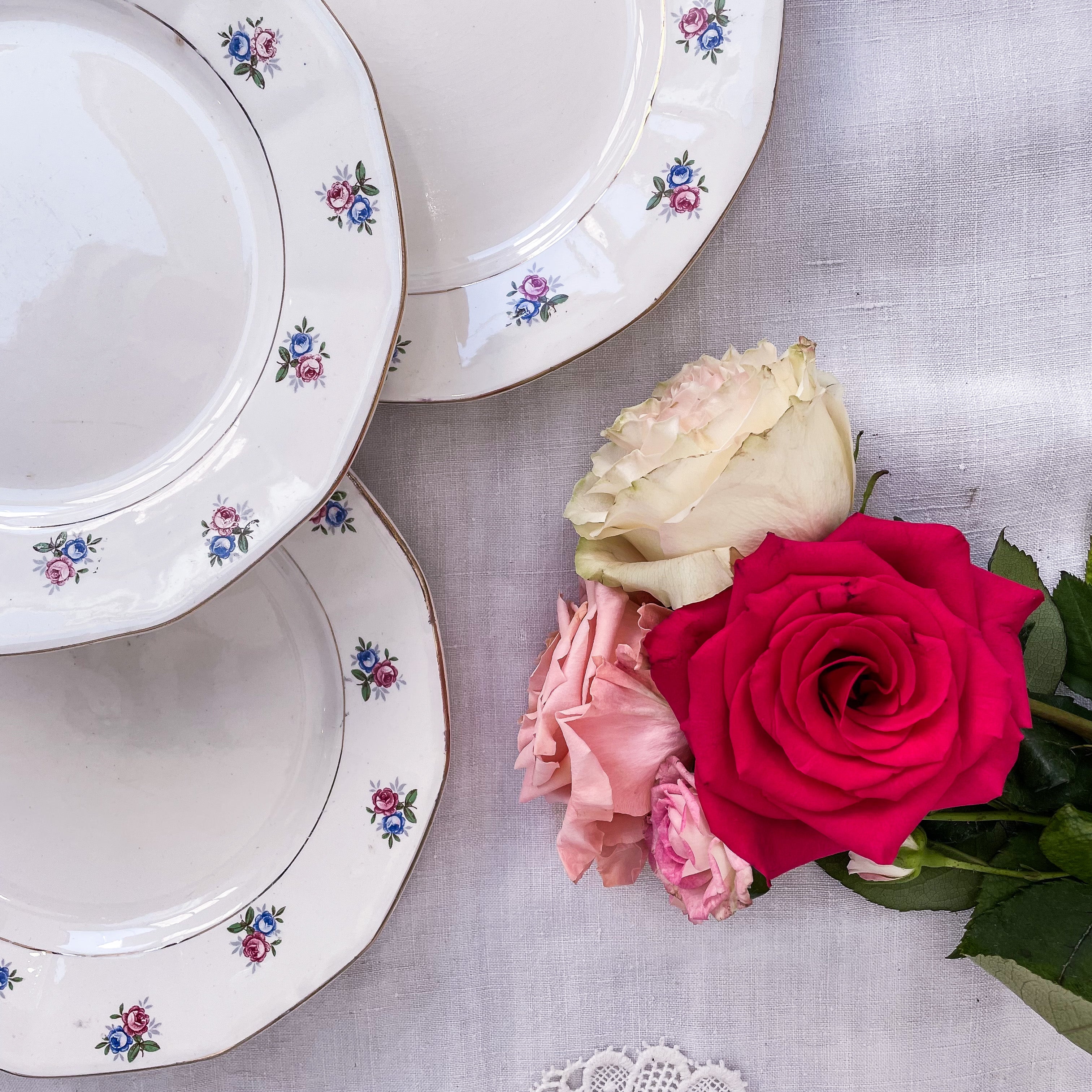 Service Digoin Sarreguemines