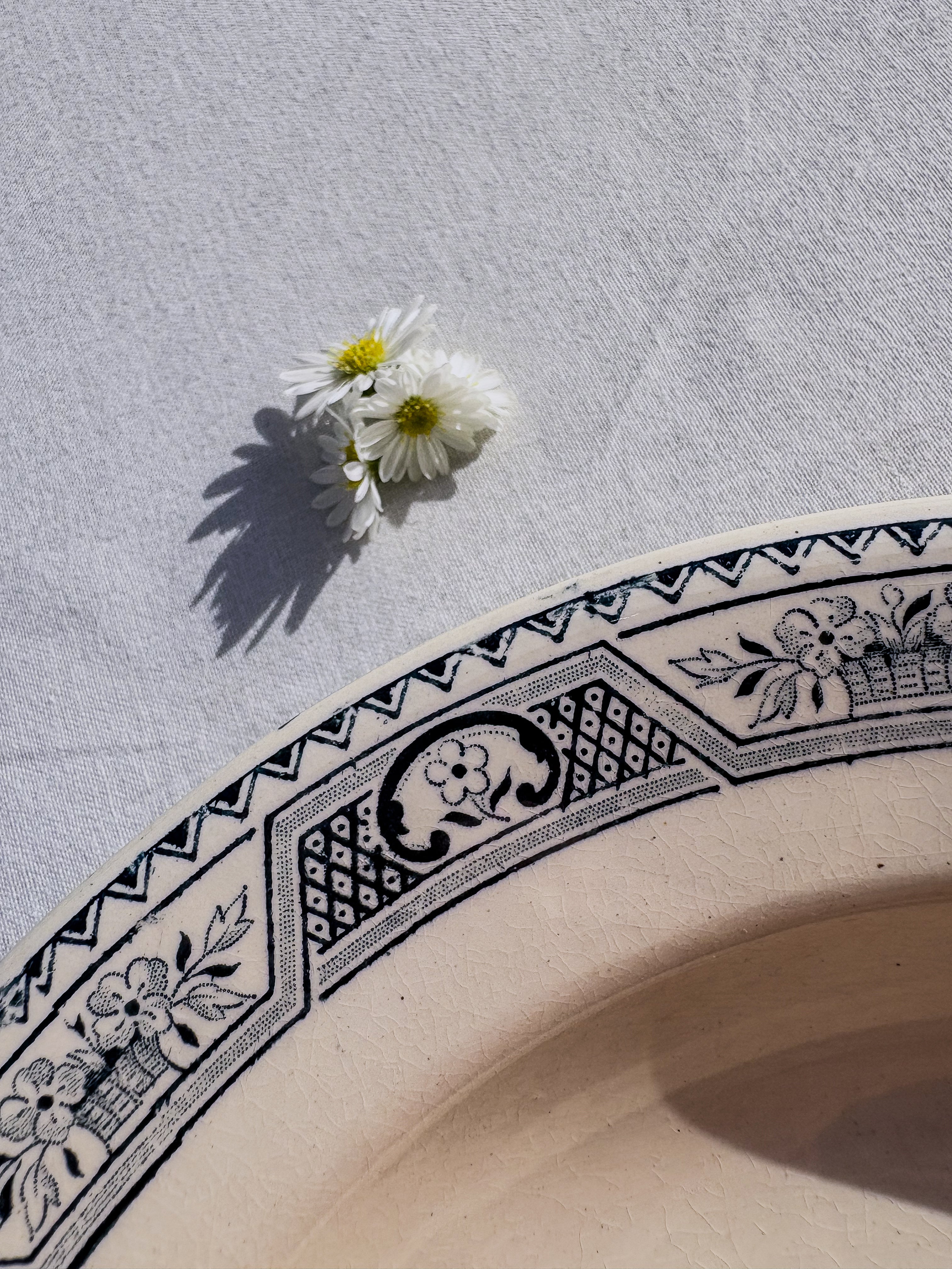 6 assiettes Salins terre de fer