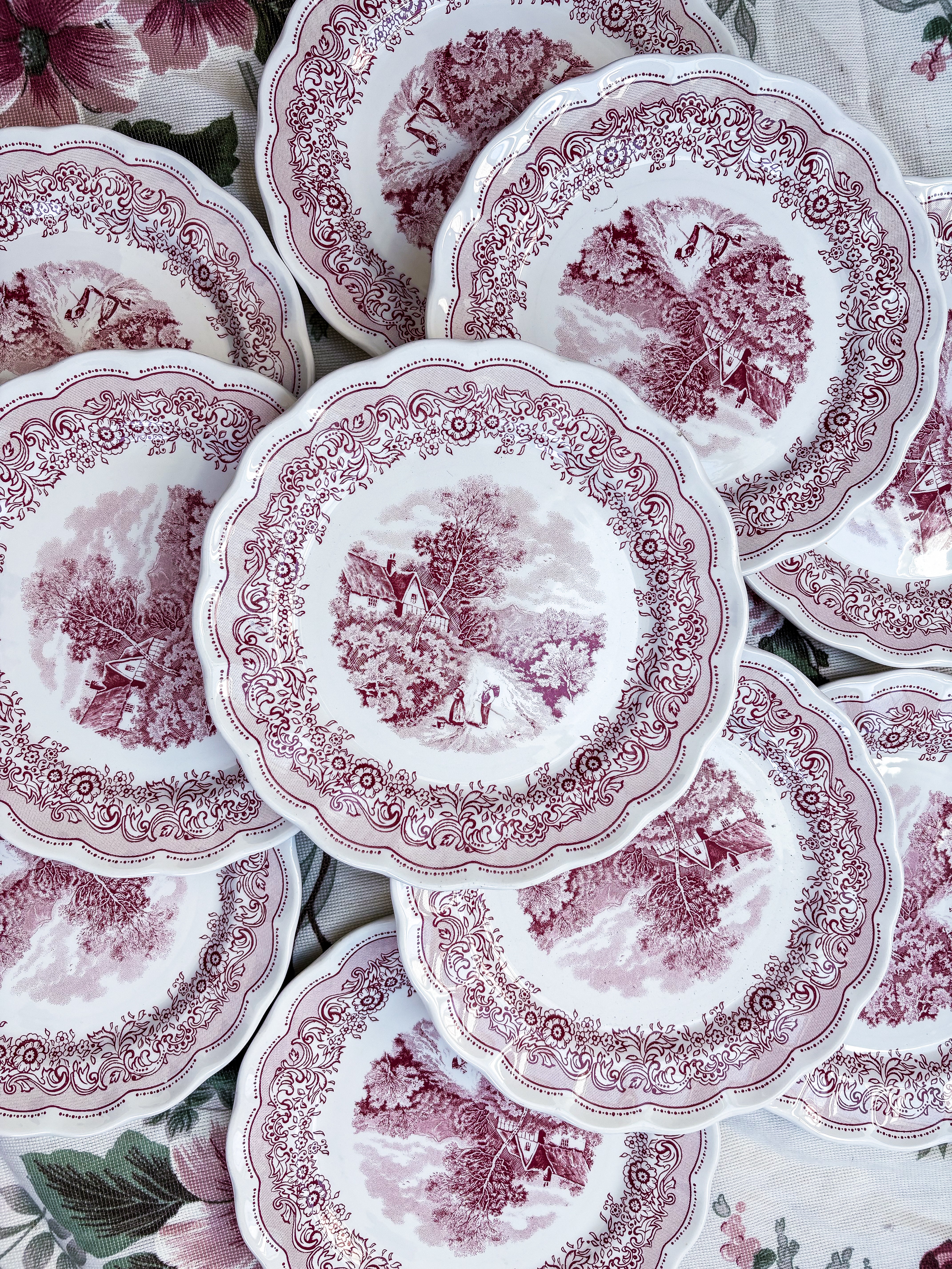 Service Italien paysage rose