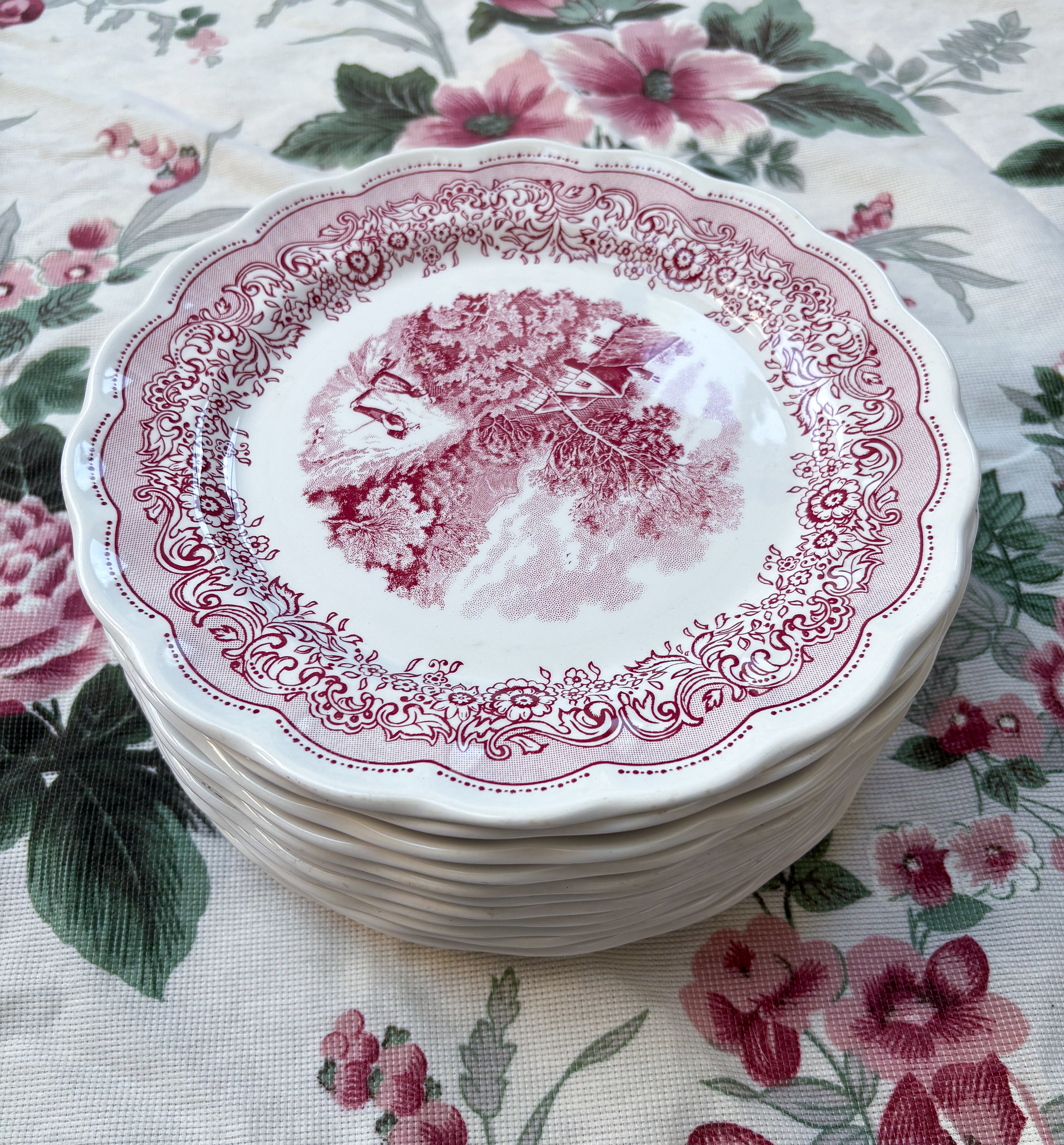 Service Italien paysage rose