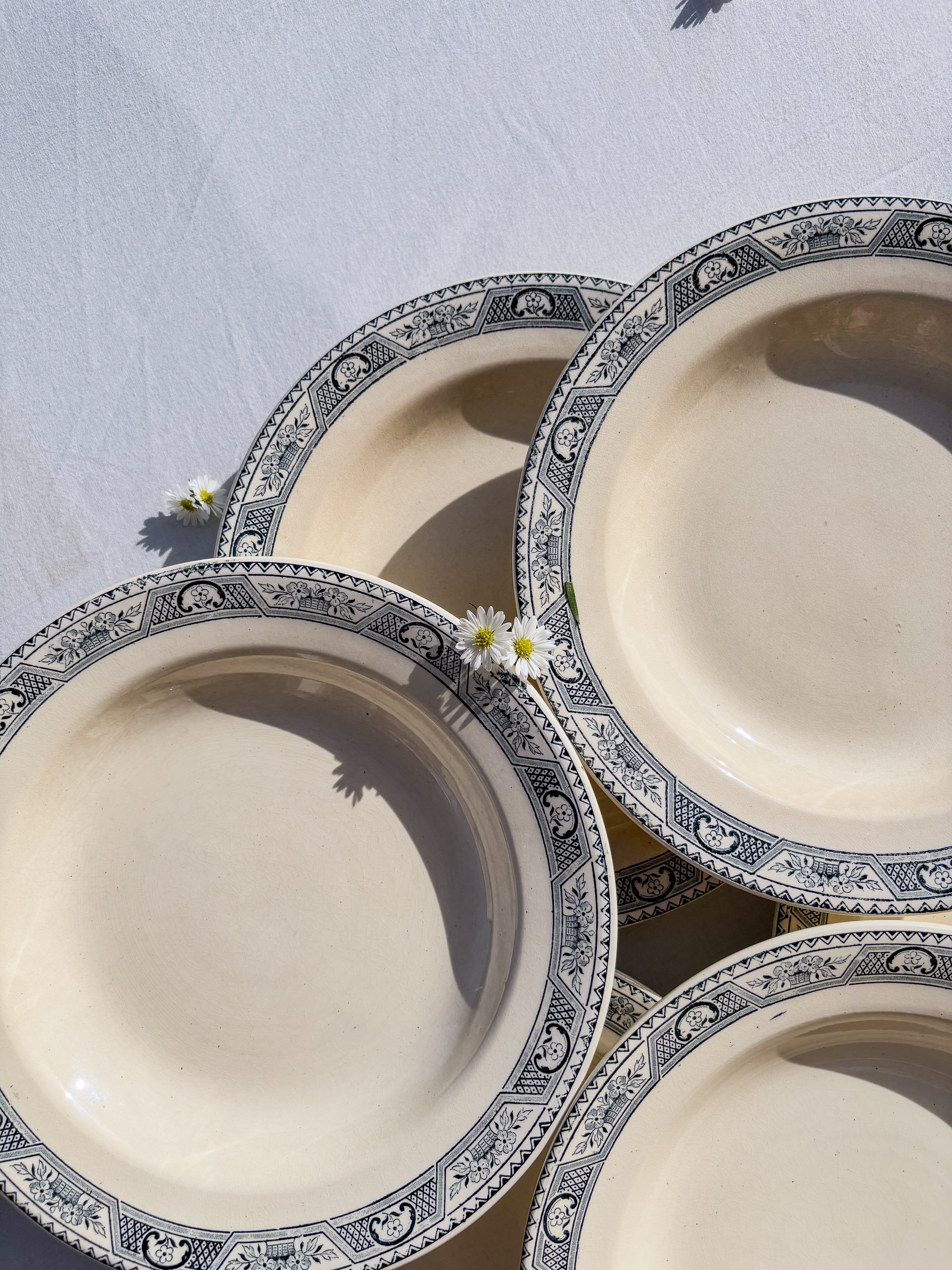 6 assiettes Salins terre de fer