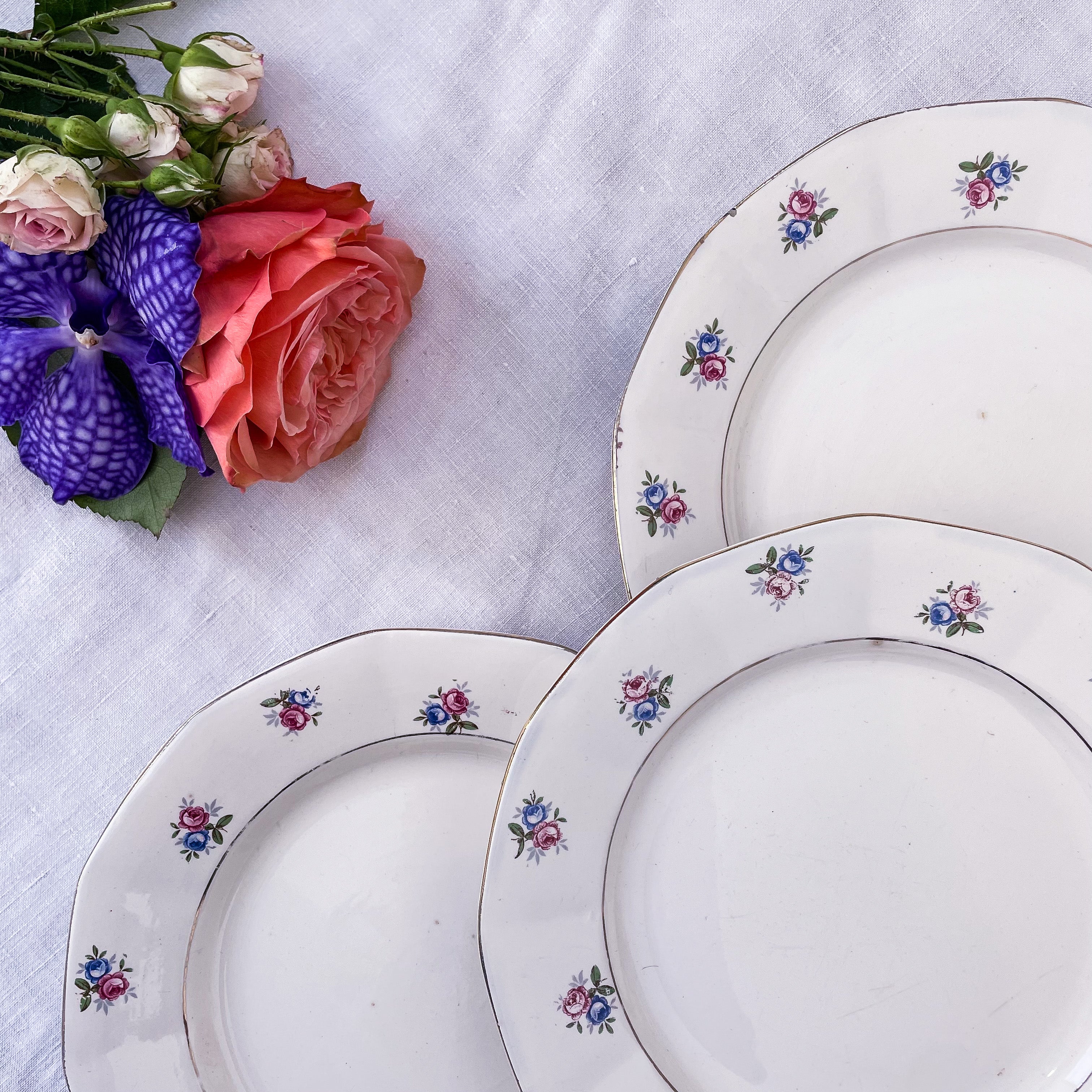 Service Digoin Sarreguemines