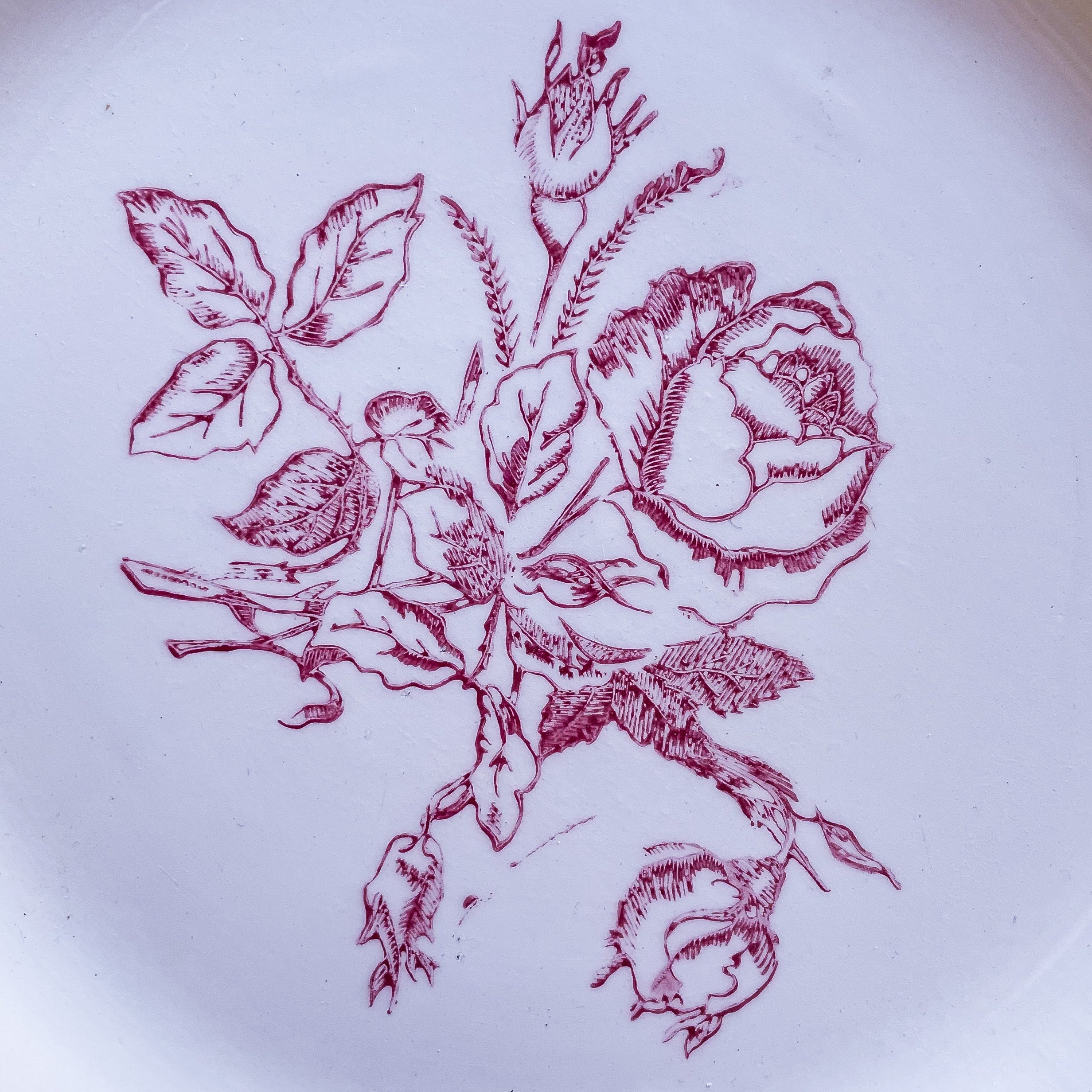 Set de 4 assiettes rose et verte