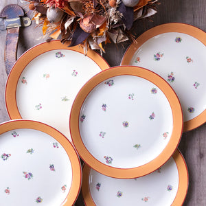 Set de 6 assiettes plates