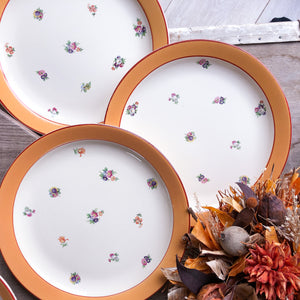 Set de 6 assiettes plates